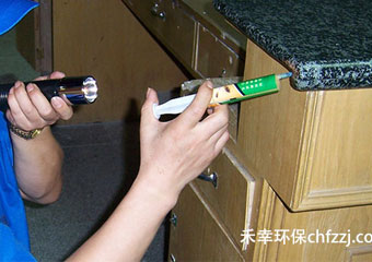 禾幸杀虫灭鼠让您：无虫岁月，清心静逸