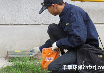 武汉专业杀虫灭鼠公司的重要性，您知多少？