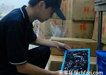夏季老鼠越发猖狂怎么办？禾幸灭鼠来支招