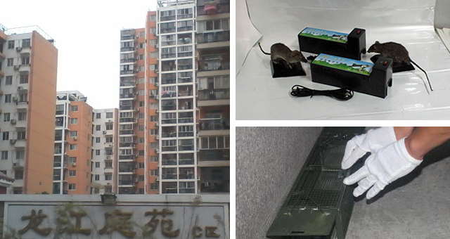 【武汉】禾幸环保家庭灭鼠，备受客户青睐