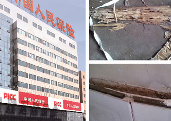 【武汉】用心服务每一次灭白蚁 赢得每位客户放心选择