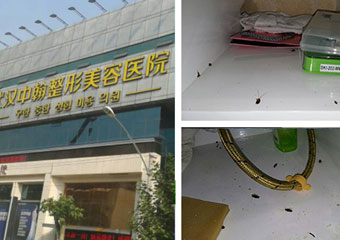 【医院】杀虫公司怎么选 禾幸环保告诉您