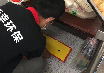 日常防鼠小贴士